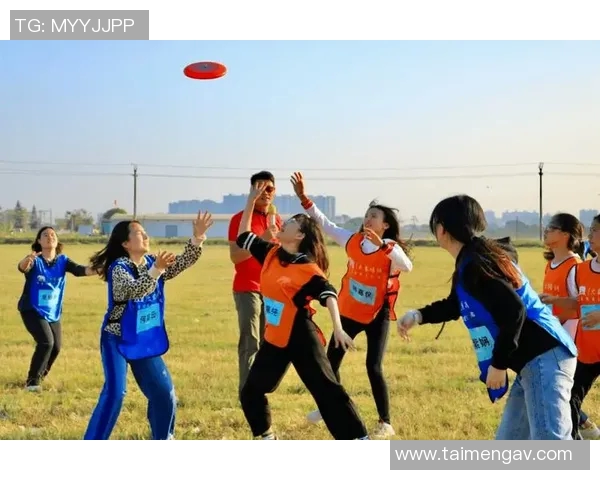 深圳飞盘队个人能力分析与表现评估的全面研究与探讨